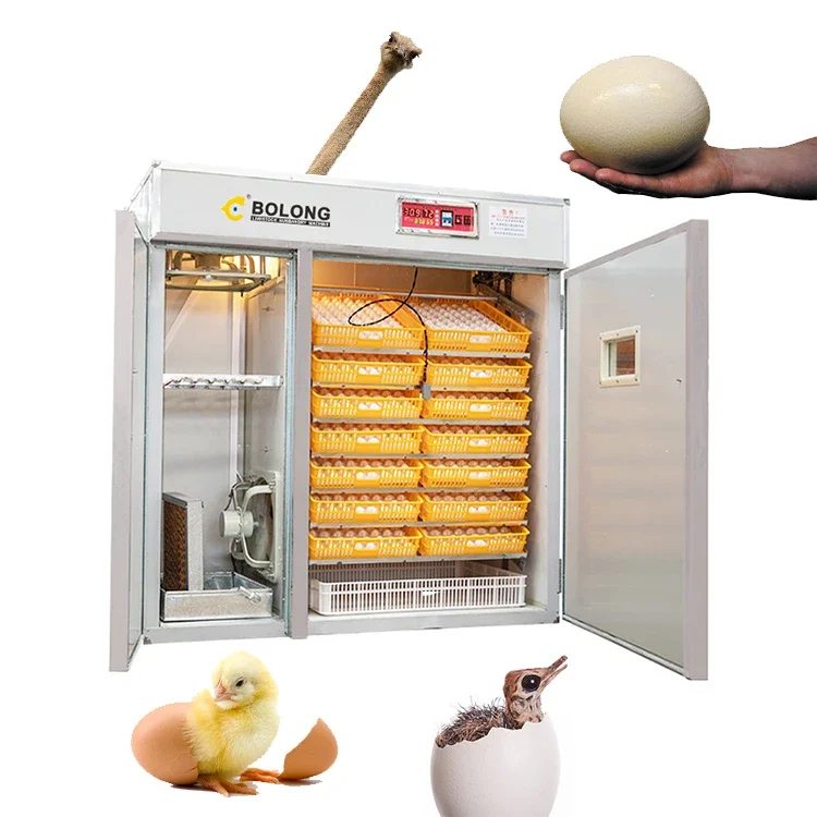 

Fully Automatic 9856 Chicken Egg Incubator 10000 Automatic Price of Ostrich Eggs Incubation 88-10000