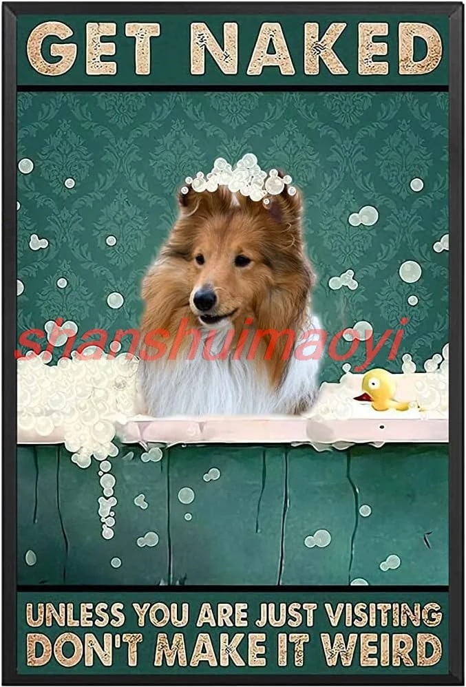 Tin Signs Vintage Funny Love Sheltie Signs, Love Dog Vintage Signs, Sheltie Dog Get Naked Unless You are Just Visiting Don& SHUI