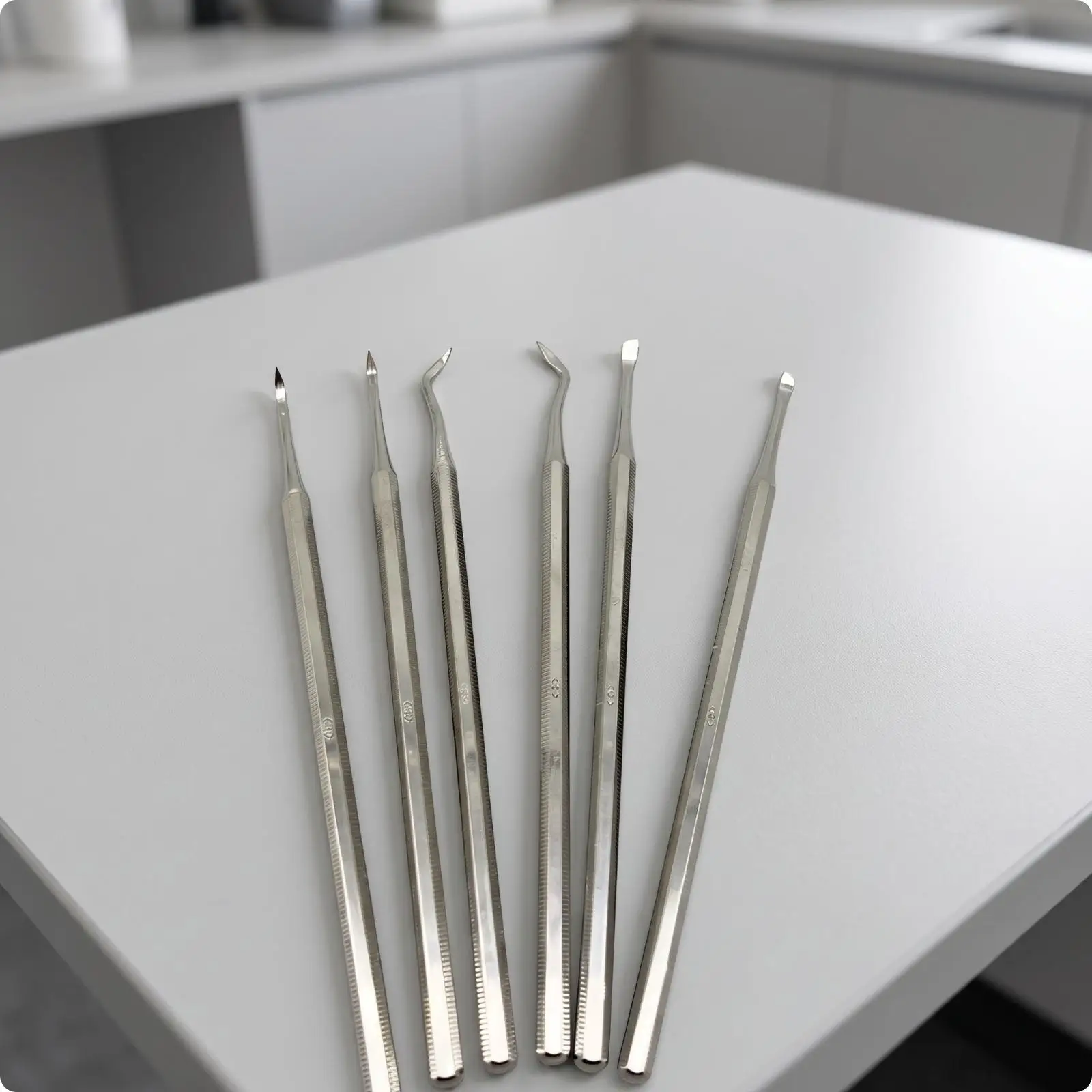 Hand Scaler Dental Calculus Tool Stainless Steel Fine Point for Instructor Led Oral Hygiene Practice and Demonstration
