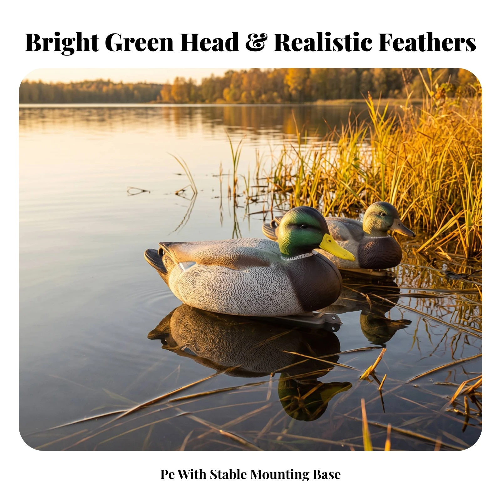 : Waterfowl Hunting Decoy