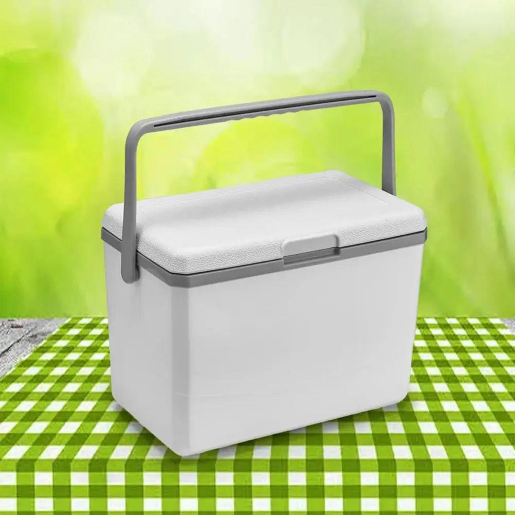 Long-lasting Insulation Cooler 3l Portable Camping Refrigerator Capacity Food Preservation Box for Car for Outdoor for Camping