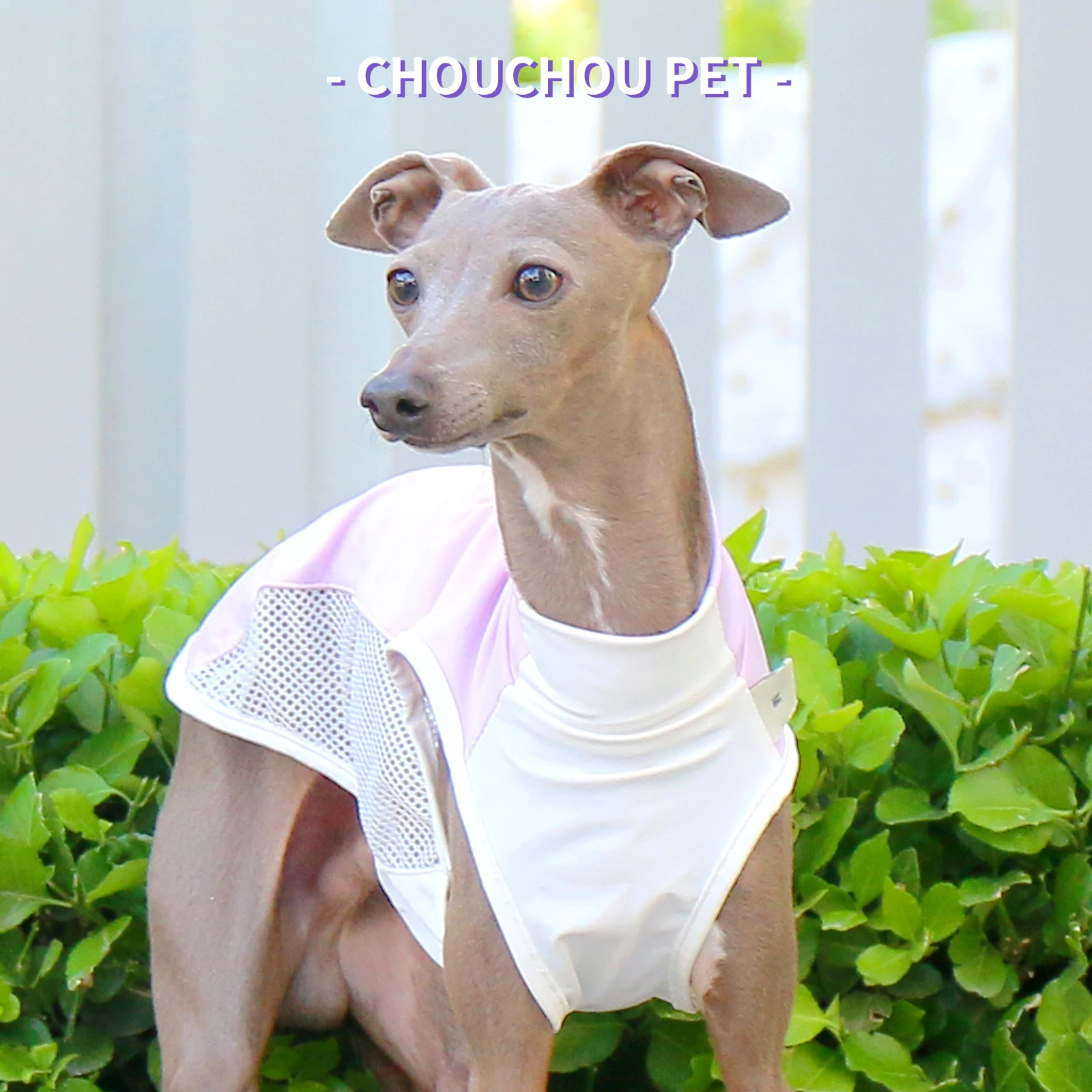 Thumbnail 3 - #13 Trending Dog Coats Right Now