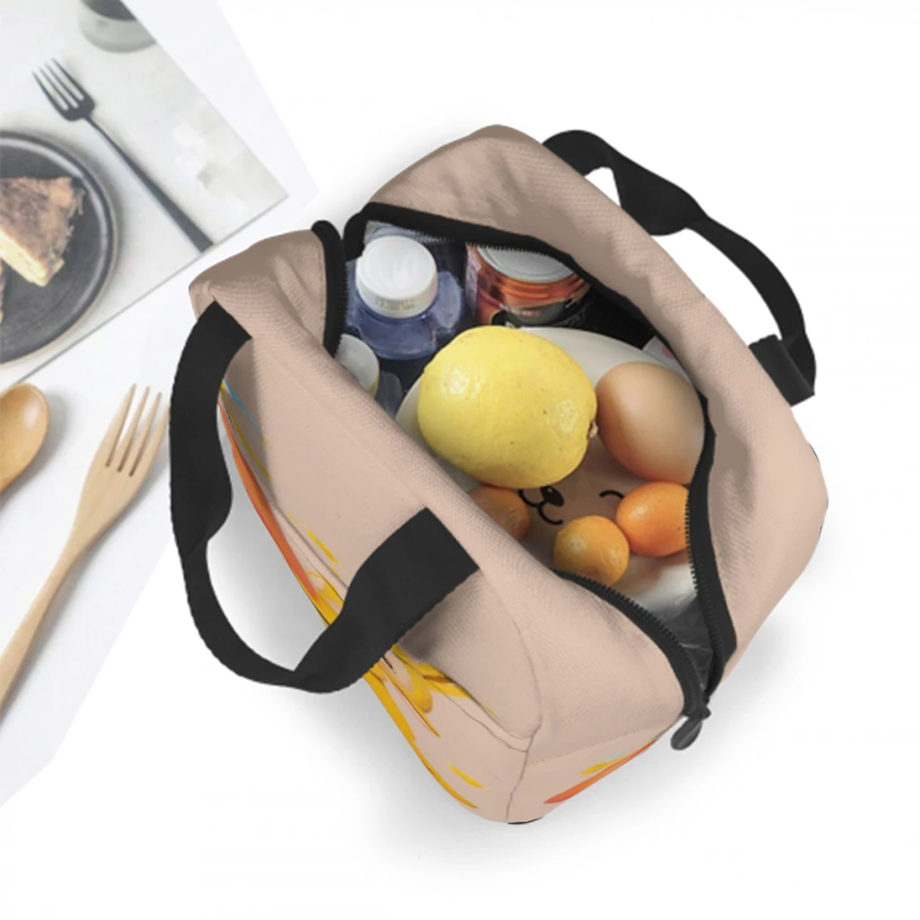 Borsa da pranzo personalizzata T-Teletubbies Borsa da pranzo termica multifunzione per alimenti Borsa da pranzo isolata per lavoro d'ufficio Borse da picnic riutilizzabili