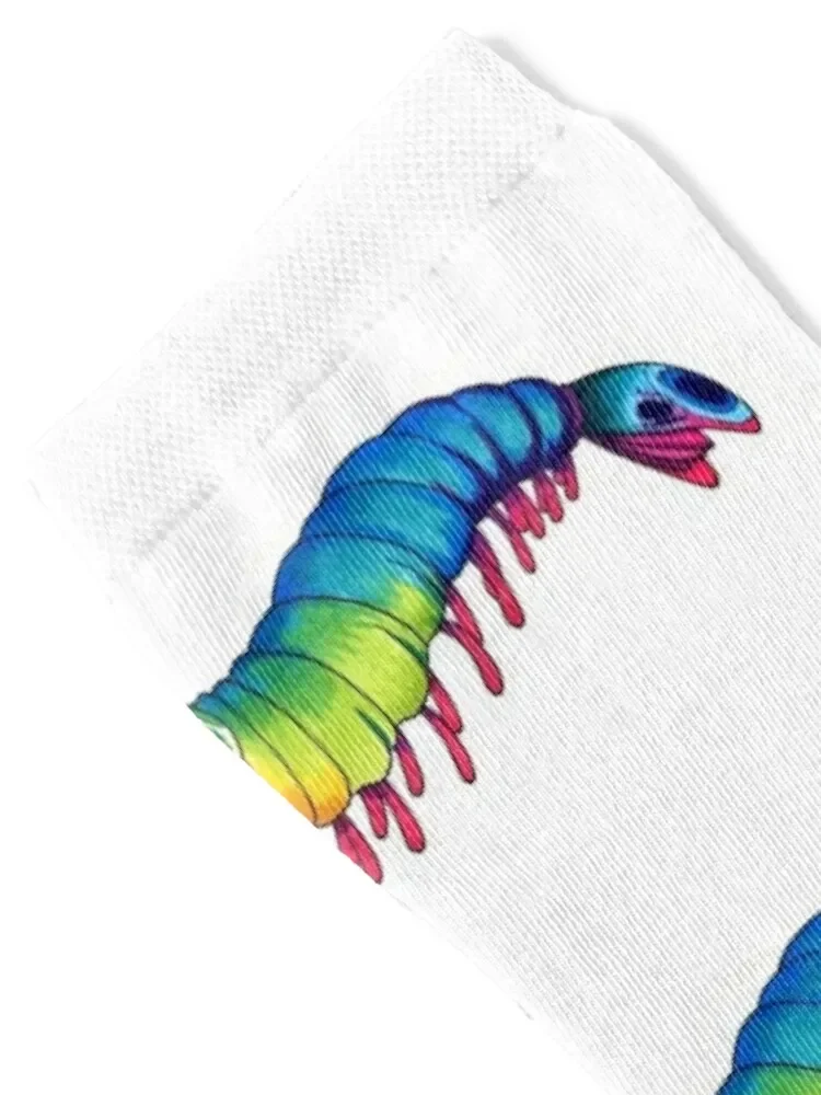 Rainbow Mantis Shrimp Socks Running Rugby kawaii Socks Men's Women's