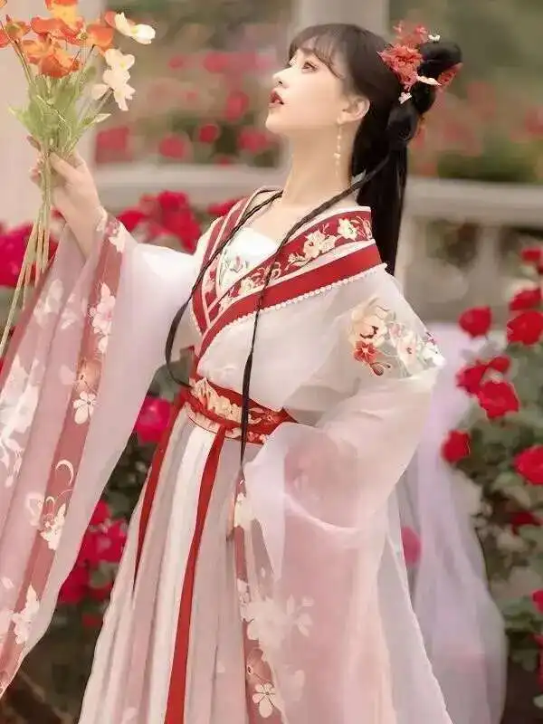 

New Ancient HNorthern And Southern Dynasties Full Set Hanfu Dress anfu Women's Chinese Style Cosplay Costume