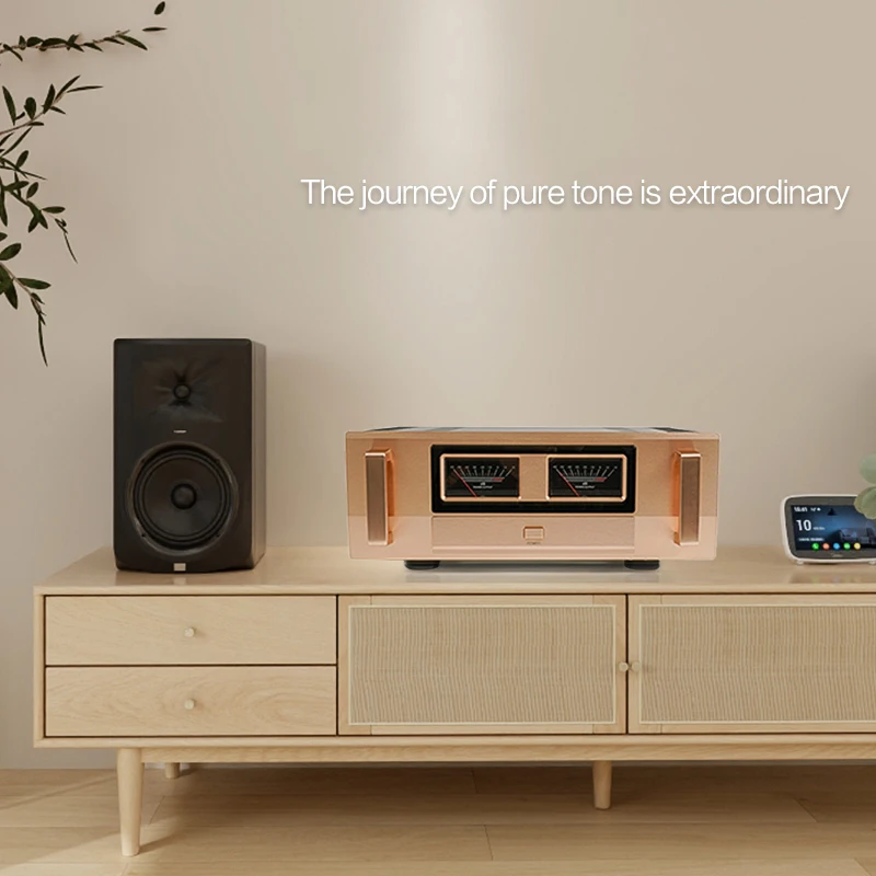 ستيريو HiFi الفئة أ المنزل مضخم الصوت السمعية للمنزل مسرح الفيديو نظام مكبر الصوت من صندوق تشغيل الموسيقى-III كبير الخلفية الطاقة أمبير