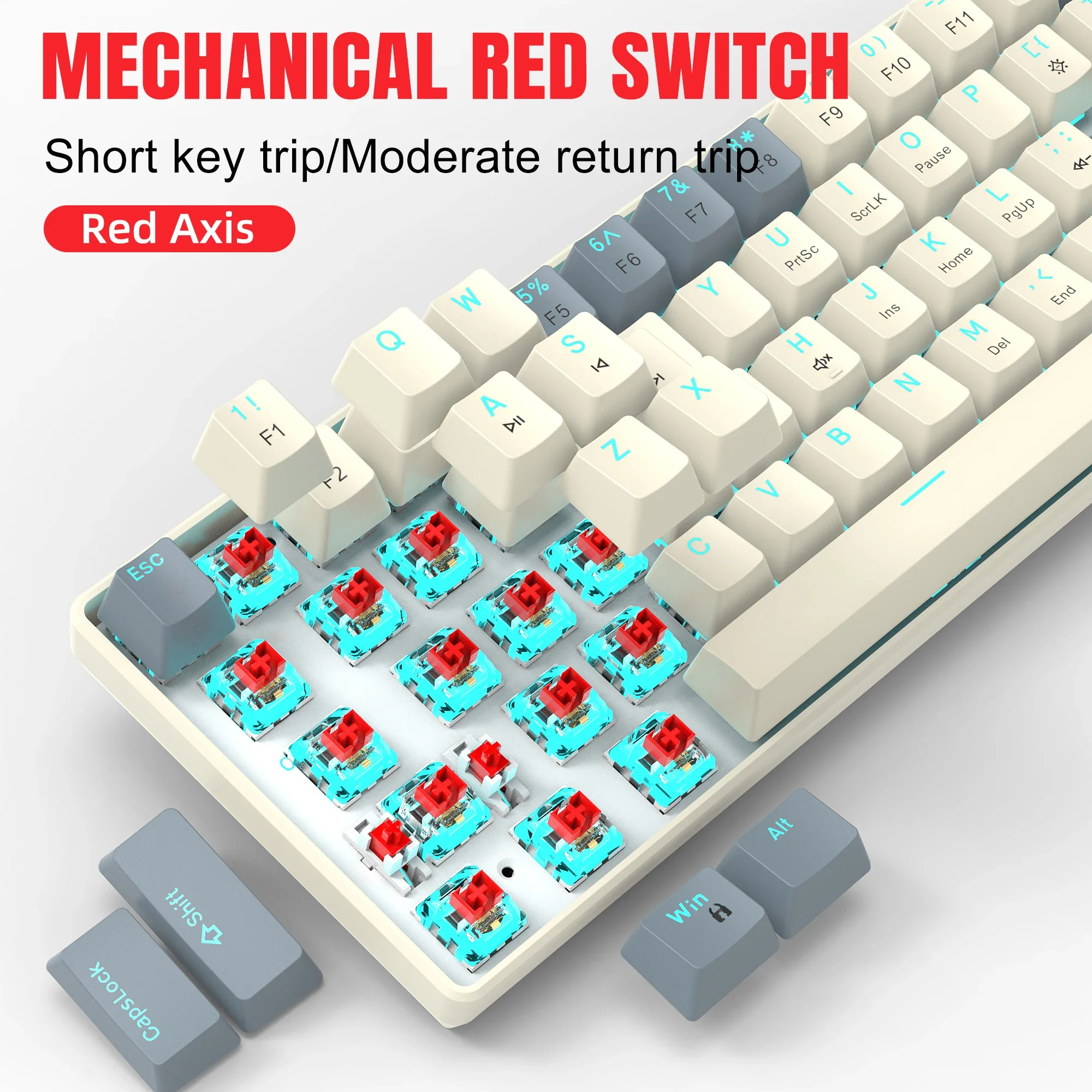 2 Colors 61 Keys Mini Mechanical Gaming Keyboard Colorful RGB Backlit Red Switch Type C Keyboard for PC Desktop Laptop Gamer