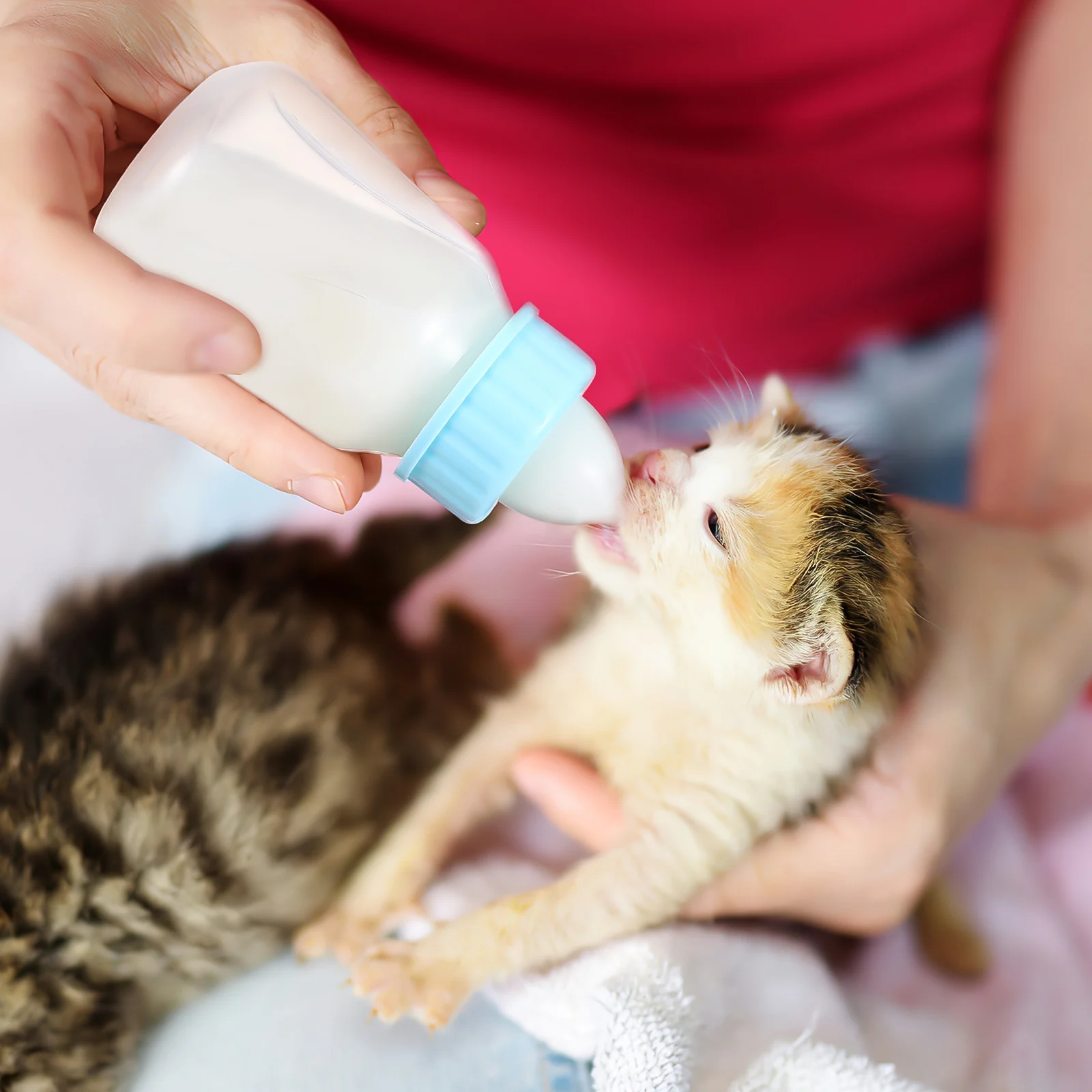 

2 set 2 Sets Feeding Bottles for Kitten Kitten Bottle Puppy Nursing Reusable Plastic Feeding Newborn Animals