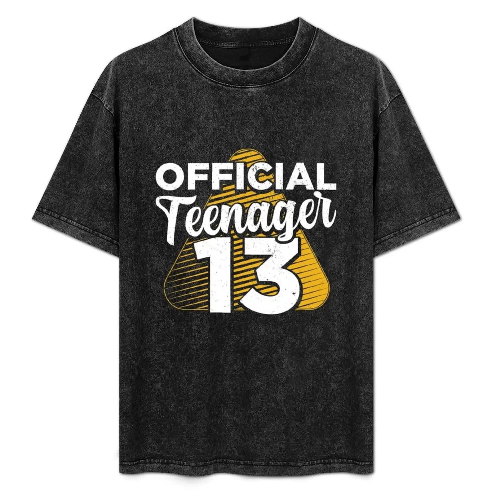 

Boys 13th Birthday Official Teenager T-Shirt Lightweight Sport Basic T-Shirt