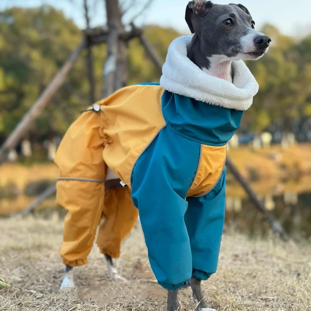 Mid Dog Clothes in Winter 4-legged Plush Blue-Yellow Jacket Windproof Waterproof Huibit Coat Warm RainCoat for Italy Greyhound