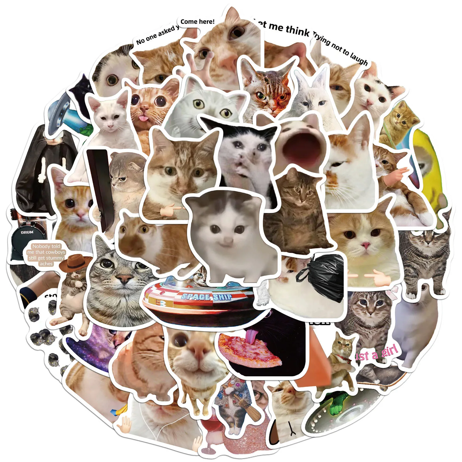 50PCS Creative Network Popular Cat Meme Collection Hand Account DIY Graffiti Stickers Water Cup Skateboard Stickers Toys image 2