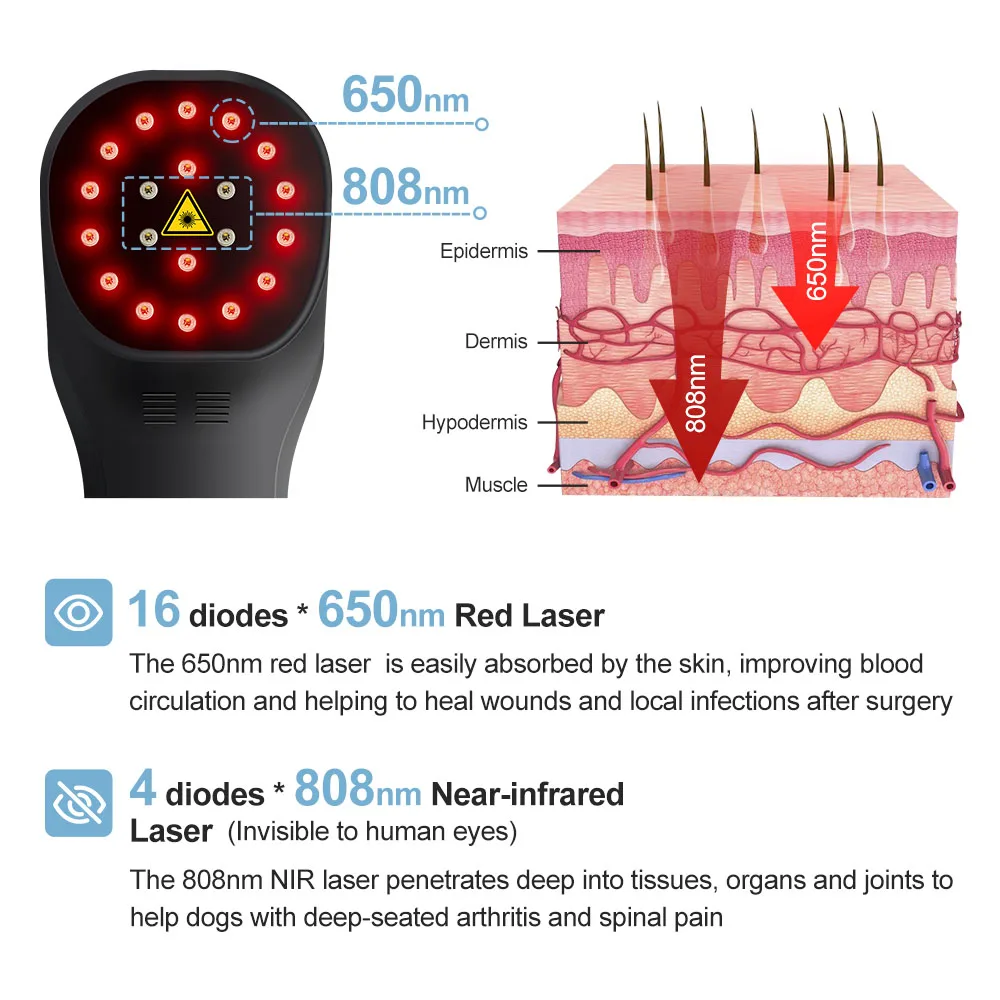 ZJZK Low Level Laser Therapy For Knee Osteoarthritis 650nm 808nm For Peripheral Neuropathy Laser High Intensity Muscle Aches