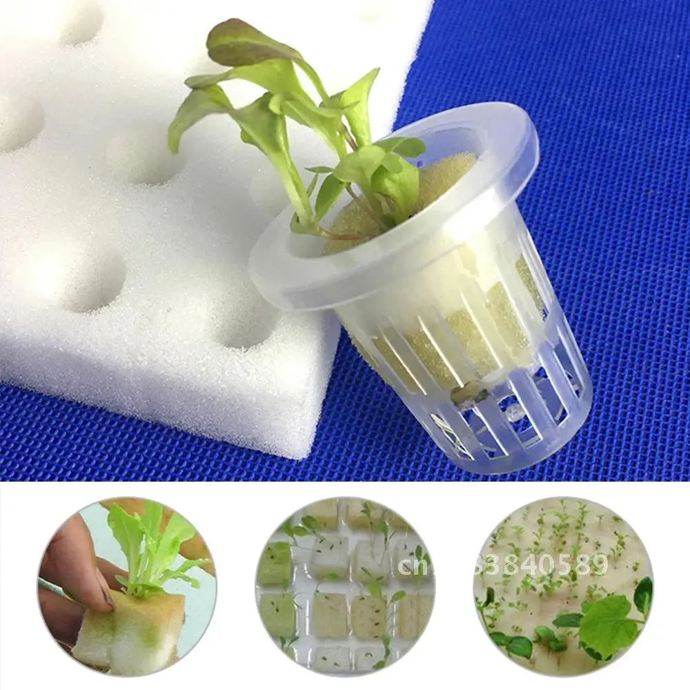 

100Pcs White Seedling Sponge Soilless Hydroponic Vegetables Nursery Pots Seedlings Cloning Collar Garden Cultivation Plant Pot