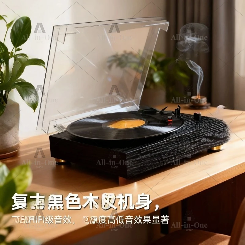 Portable vinyl record player acrylic dust cover desktop dual speaker system vinyl phonograph