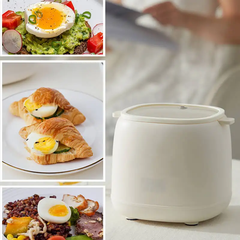 Smart Egg Cooker Automatic Power Off Egg Steamer Multi-function Egg Machine Small Breakfast Machine Hot Spring Egg