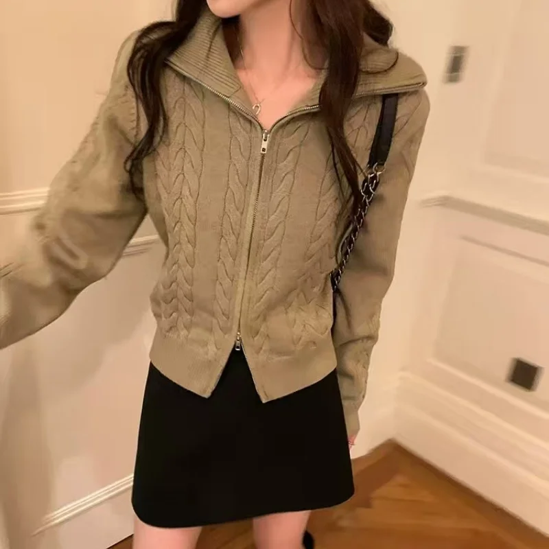 Cardigan 100% laine pour femme, Double fermeture éclair, col rabattu, couche extérieure, manteau épais en cachemire, nouvelle collection automne/hiver