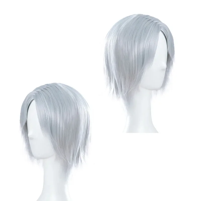 Perruque de Cosplay pour Homme Cool, Accessoire de Synthèse de Cheveux Gris pour Halloween, DMC Dante