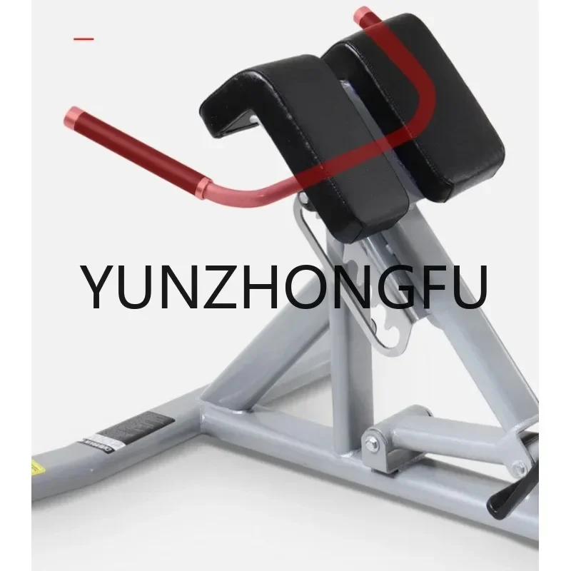 Commercial Roman Chair Fitness Equipment Back Extension For Fitness & Body Building Gym Equipment