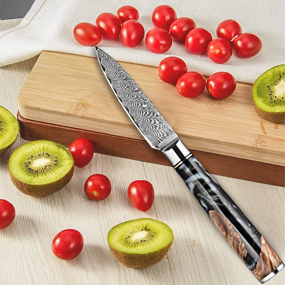 

Classic Paring Knife 3.5 Inch, Damascus Steel Japanese Knife - Sharp fruit knife for Peeling, Cutting, and Slicing Cutlery Knife