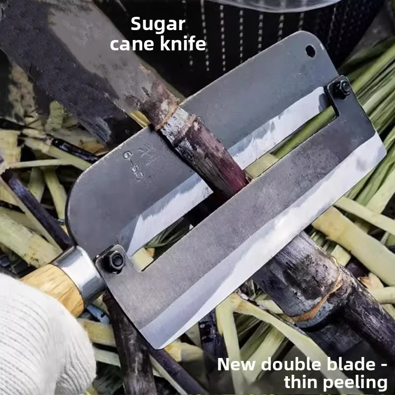 

Sugarcane Peeler New Model Profional Fruit Store Usable Cucumber Peeler Kitchen Cooking Tool arp Durable Fruit Knife
