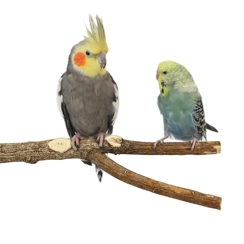 Thumbnail 3 - #36 Latest Bird Ladders & Perches Offers