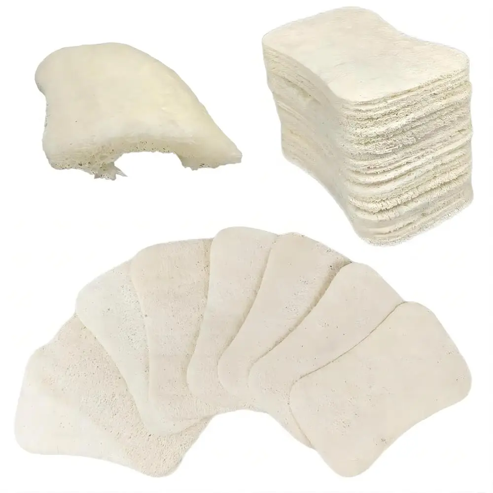 

50 Pack Natural Loofah Dish Sponge, Multipurpose Non-Scratch Luffa Kitchen Scrub Pad for Cleaning Kitchen, Bathroom, and Hous
