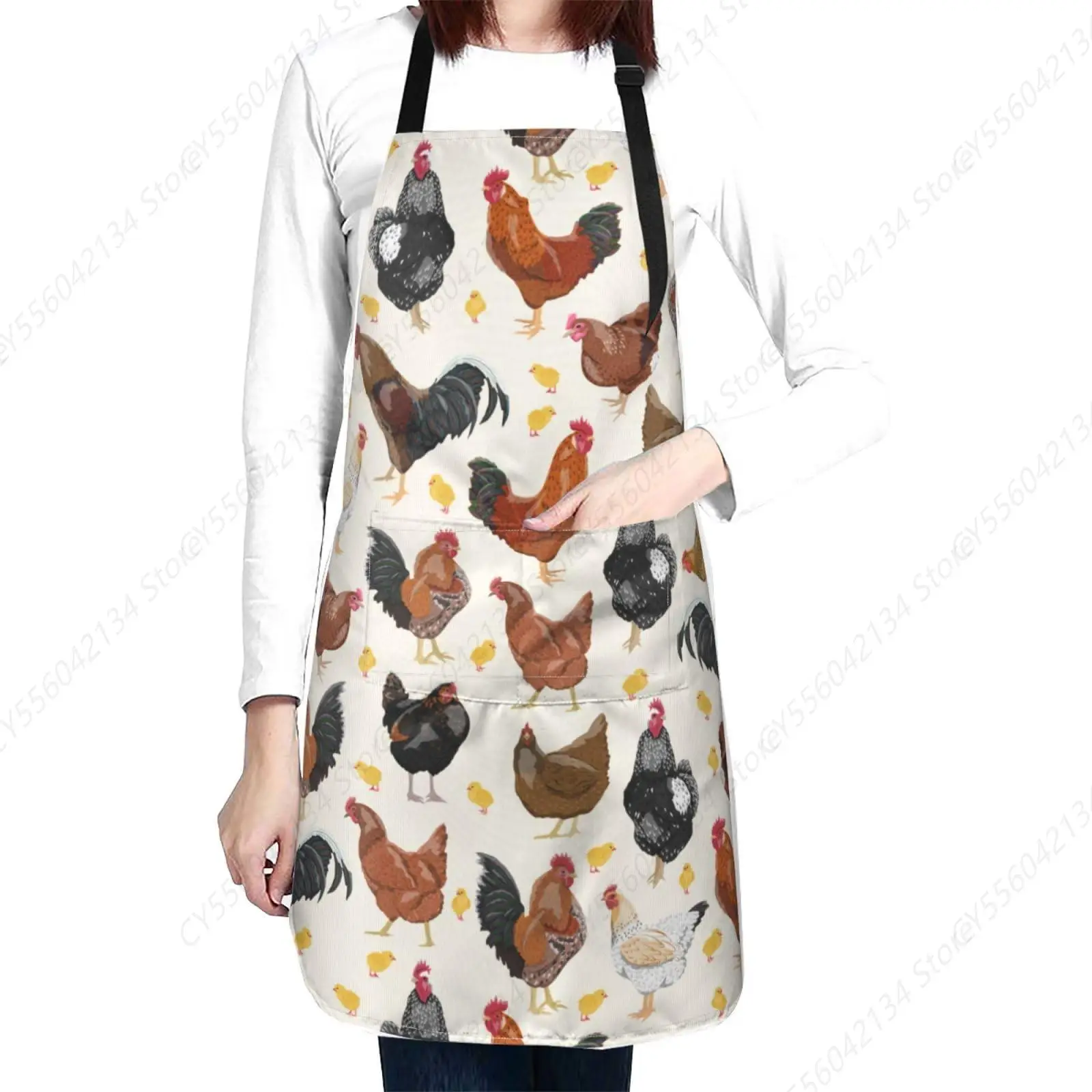 Domestic Hens Roost…