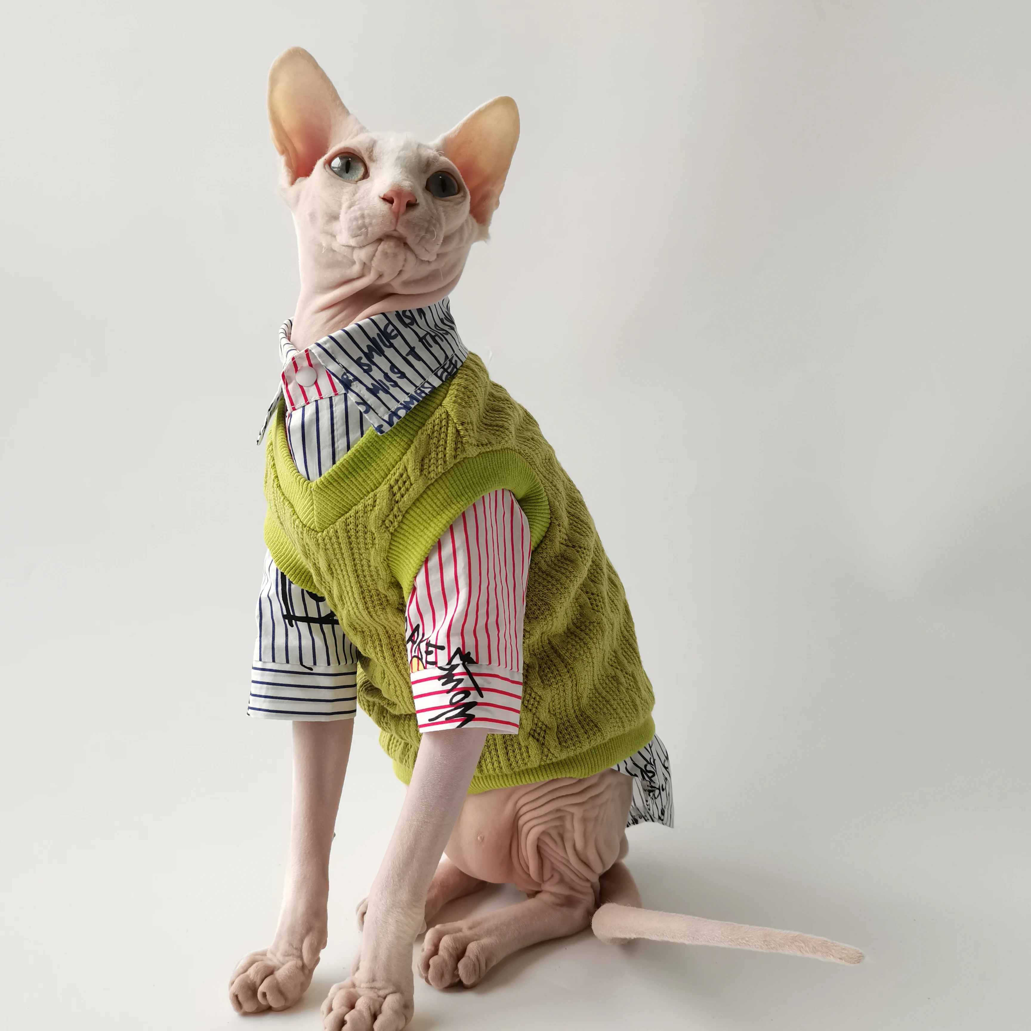 British Gentleman Style two-piece Set for Sphynx Cat Spring Autumn Shirt knitted Sweater Elegant Suit Green Blue Vest for Kitten