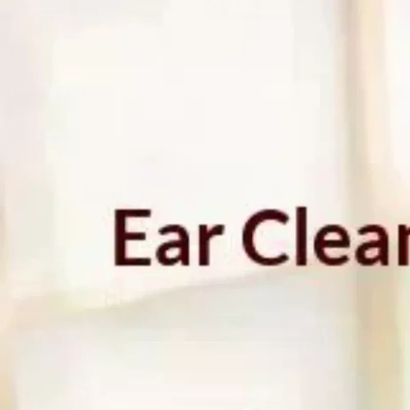 2/7/8/10 PCS Professional Ear Cleaning Tool Kit With Soft Goose Feather Tips Portable Box For Home Ear Care Relaxing Massage