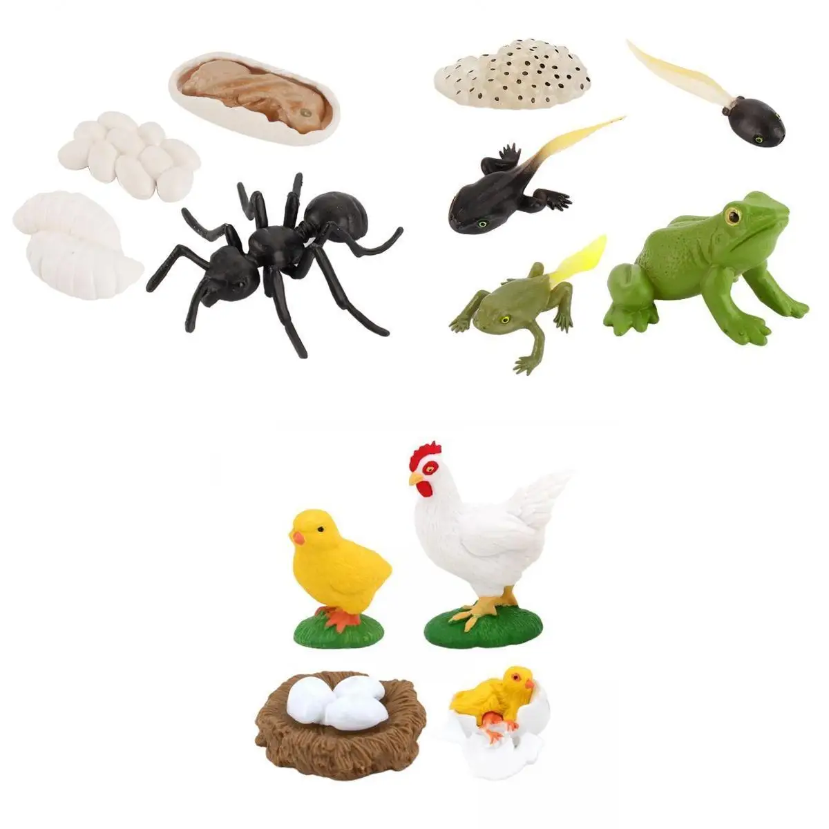 Nature Animal Life Cycle Worker Frog Growth Figures Model Toys