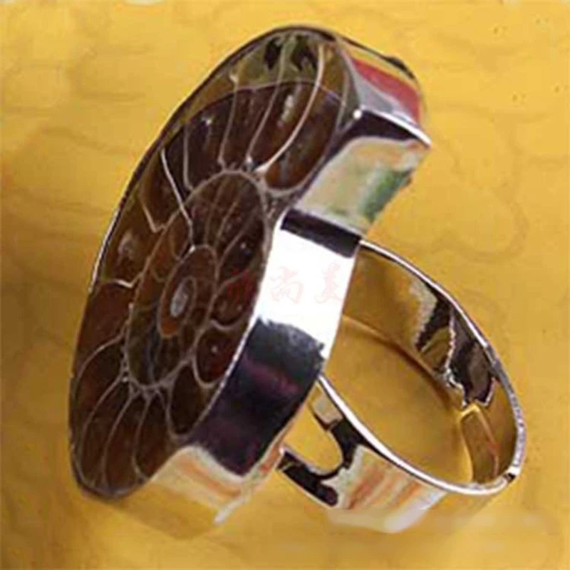 Unique Adjustable Ring Fashion Natural Ammonite Reliquiae-Finger Ring Jewelry Natural Fossil-Shell-Ring Women Girl Teen