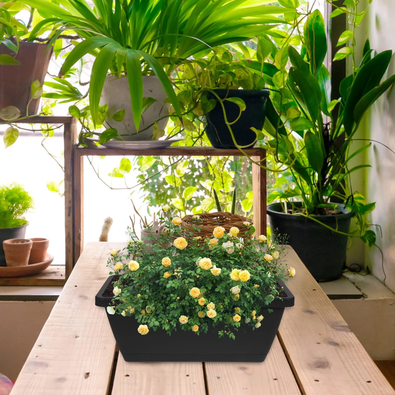 4 Pcs Plastic Flower Pot Window Boxes Planters Indoor Pots Rectangular Flowerpot Outdoor