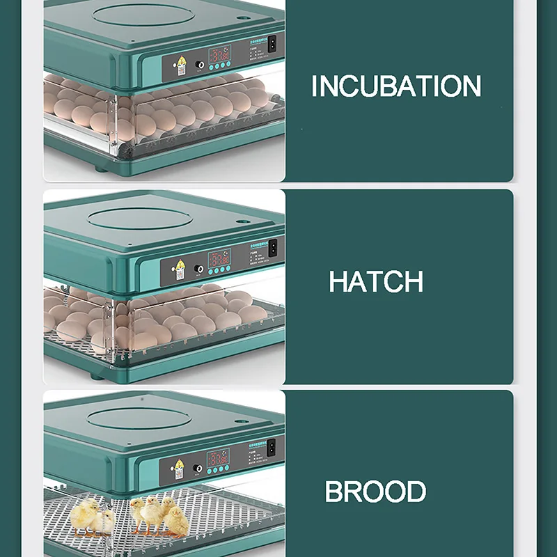 Imagem -05 - Incubadora Inteligente Automática do Ovo da Tela Galinha Pato Ganso Pombo Pavão Papagaio Agregado Familiar 24 38 Ovos