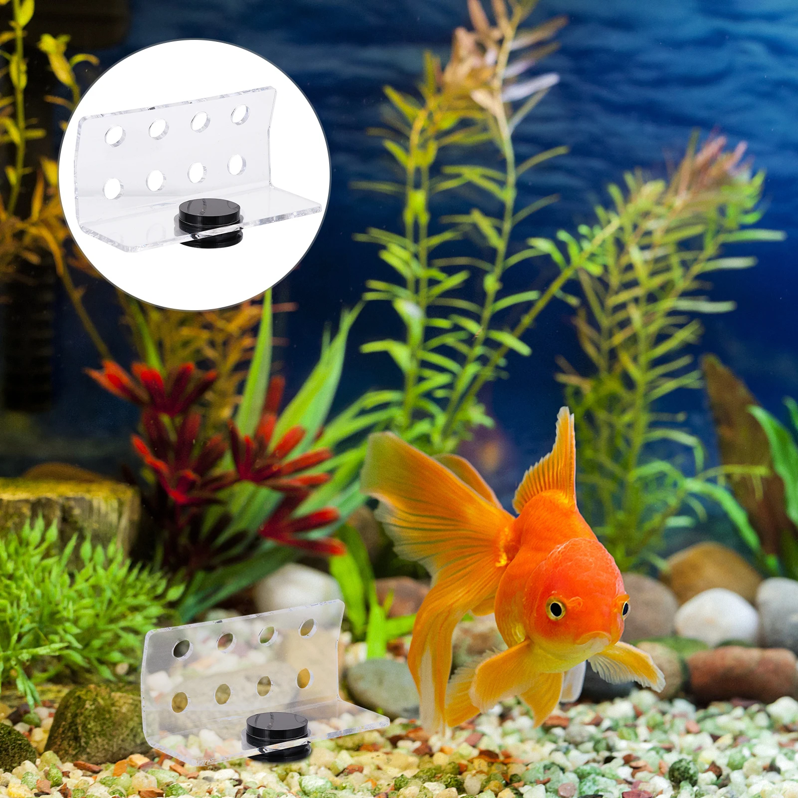 

Magnetic Coral Rack Aquarium Holder Acrylic Material Long Lifespan Curved Design Fish Tank Decoration Coral Support Pet