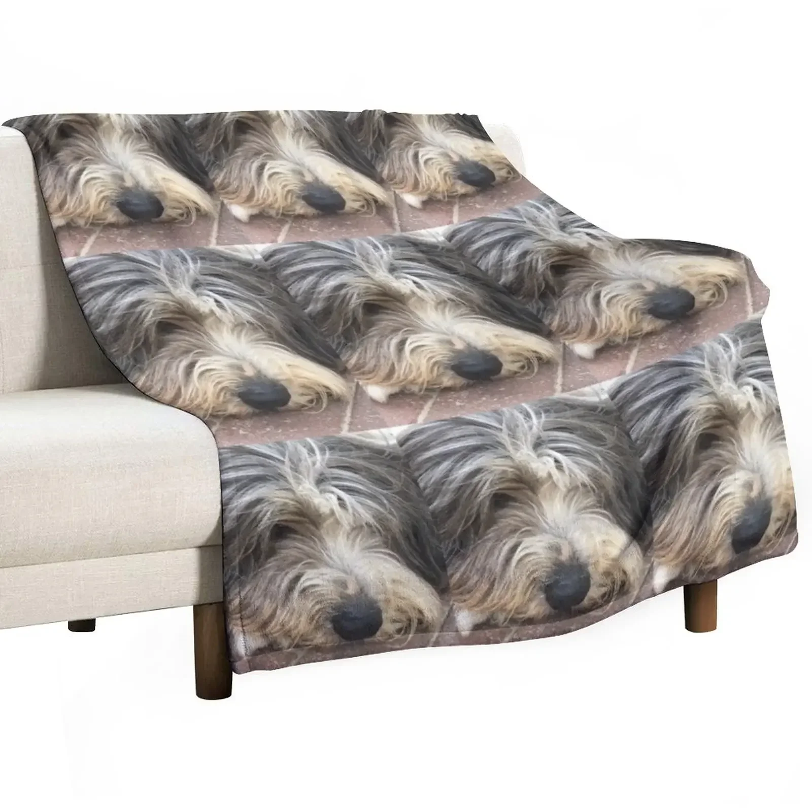 Bearded Collie Nap Time - Always got one eye open just in case! Throw Blanket Summer Designers Thin Blankets