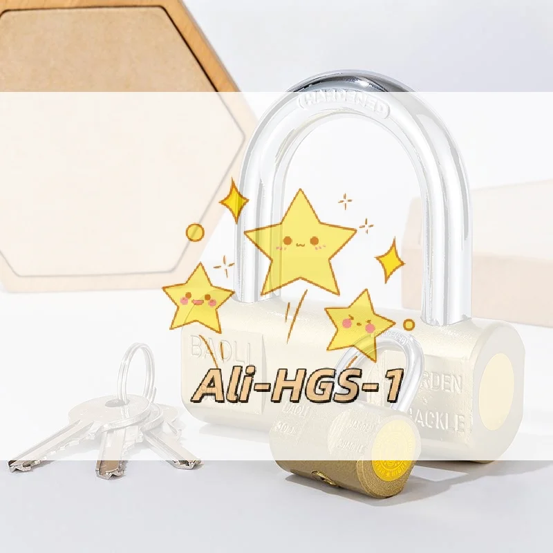 Home Security Project - ล็อคกระเป๋าของคุณให้ปลอดภัยด้วยกุญแจขนาดเล็ก มาพร้อมกับกุญแจ 3 ดอกสำหรับใช้ในบ้านและงานต่างๆ