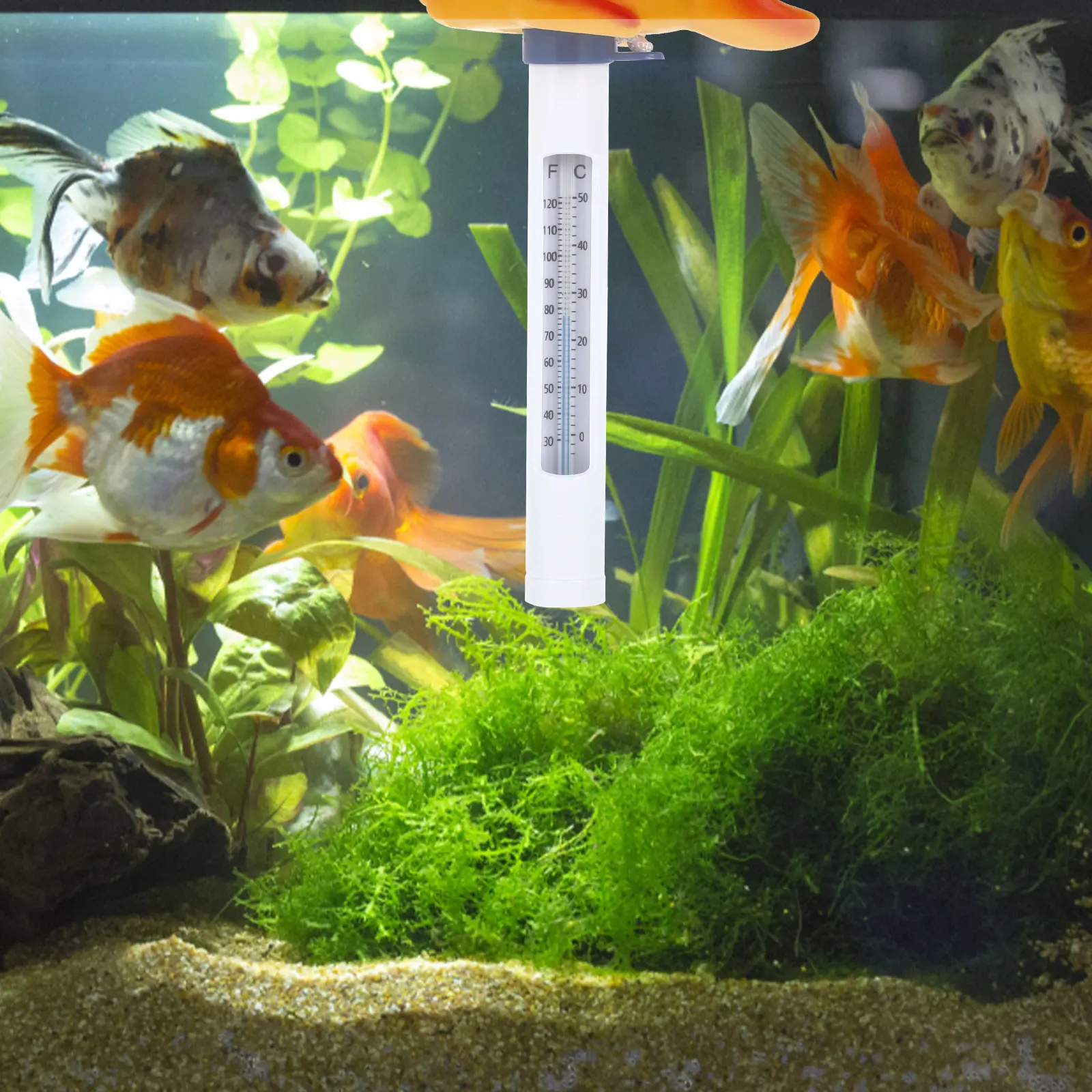 

Plastic Goldfish Thermometer for Water Temperature in Pool Floating Pool Thermometer Spa Hot Tub Ponds Celsius Fahrenheit