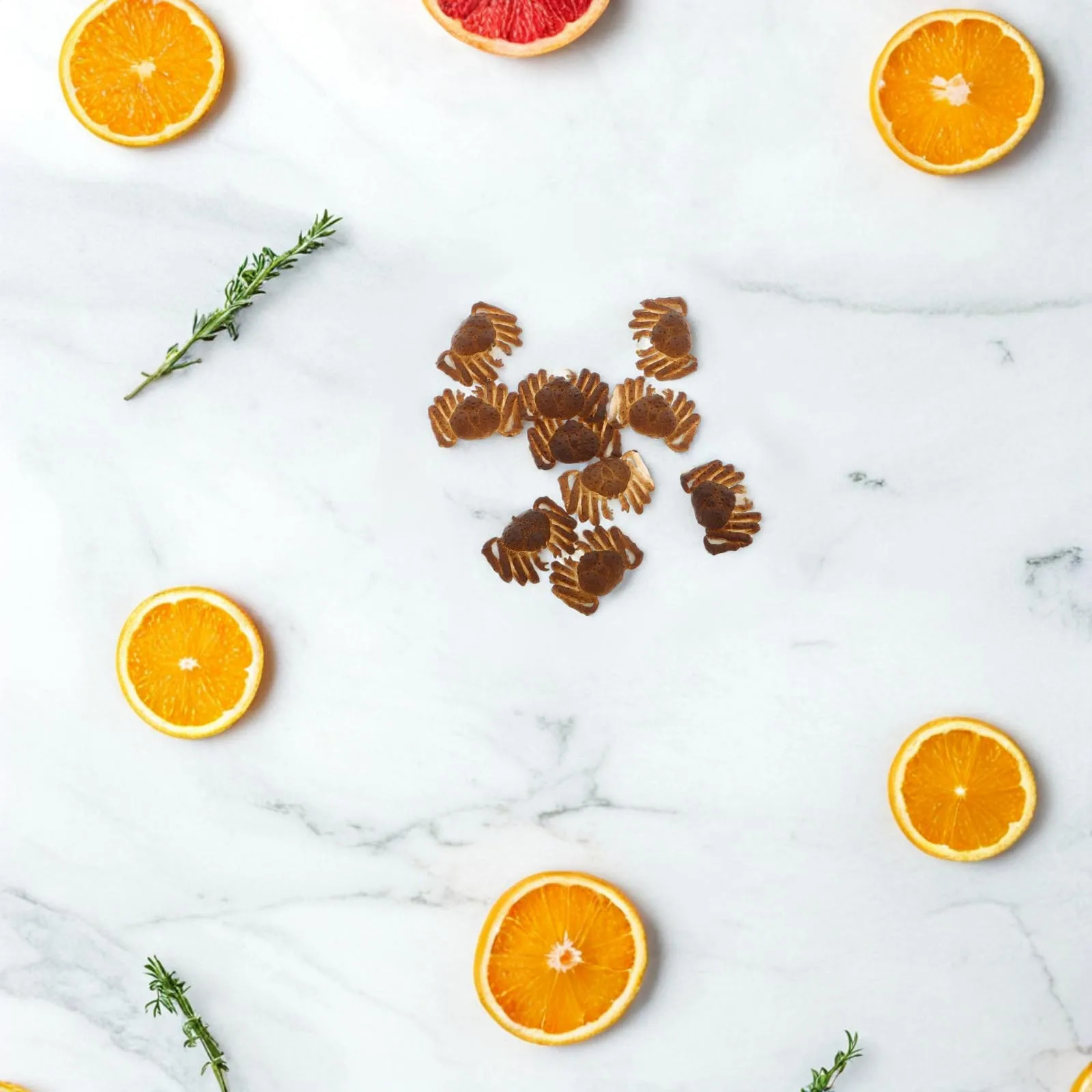 10 قطع من ديكور السلطعون الاصطناعي الواقعي، دعامة مصغرة للمأكولات البحرية للمطبخ والمطعم، محاكاة السلطعون المطبوخ نابض بالحياة