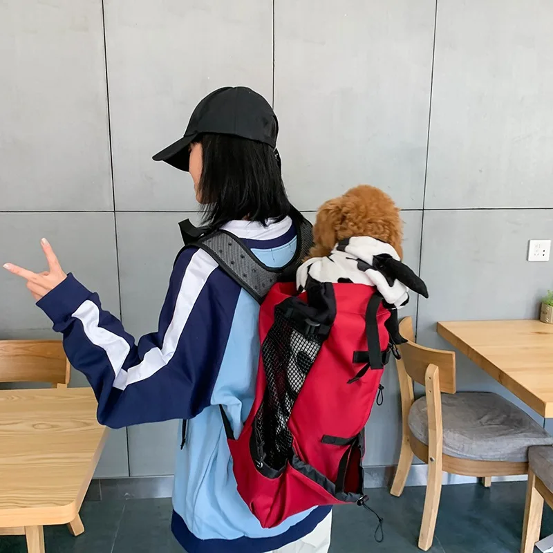 Backpack-Style Equipment for Carrying Items During Travel or While Driving, Specially Designed for Samoyed Dogs and Beagle Dogs - view 4