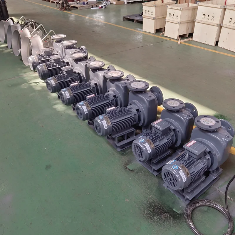 Bomba centrífuga autoescorvante Fabricante de bomba de água na China Bomba autoescorvante de irrigação agrícola