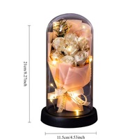 Real Touch Eternal Rose Dome with LED Lights Romantic Home Decor Preserved Flower Gift for Valentine  Anniversary Wedding