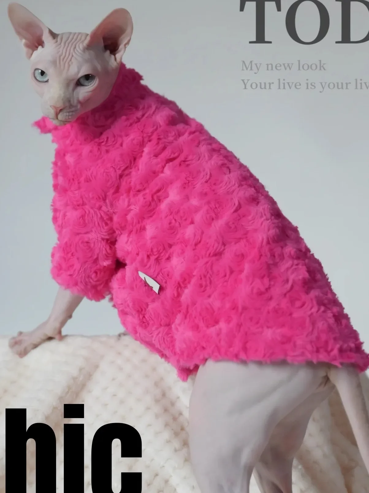 

Romantic and Warm Cat Coat: Double-layered Rose Jacket for Hairless Cats,Sphynx Cats,Devon Rex and Small Cats