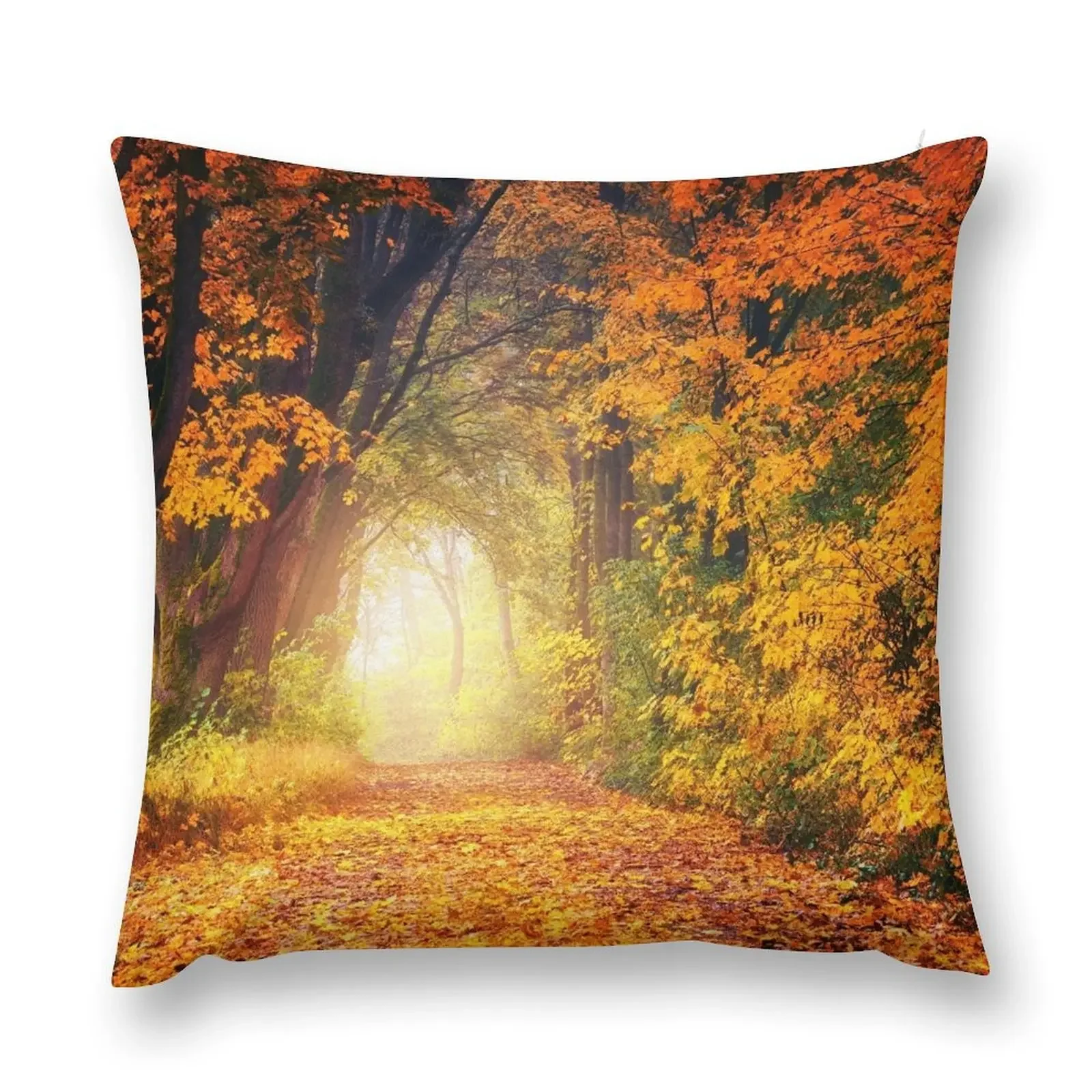 

Autumn Forest Path Throw Pillow Decorative Pillow Covers For Sofa Sofa Cushions Covers pillow