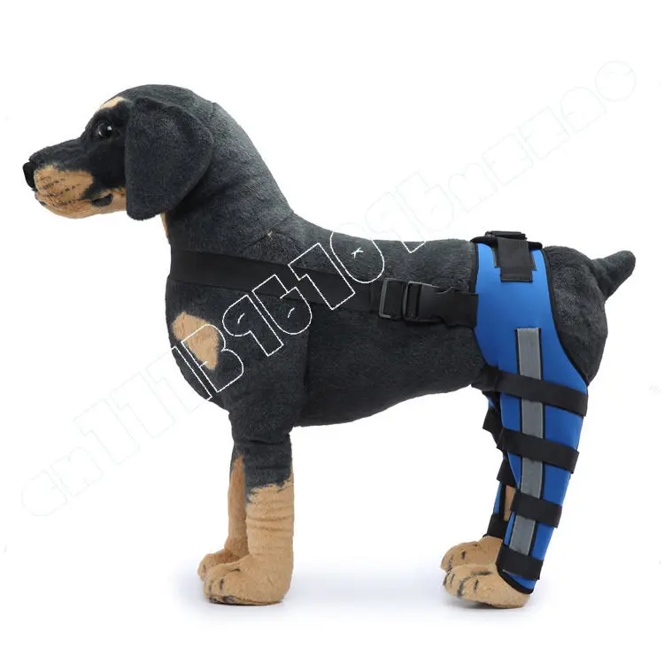 

Pet hind leg knee pads dog leg pads injury protective cover patellar dislocation dislocation postoperative recovery
