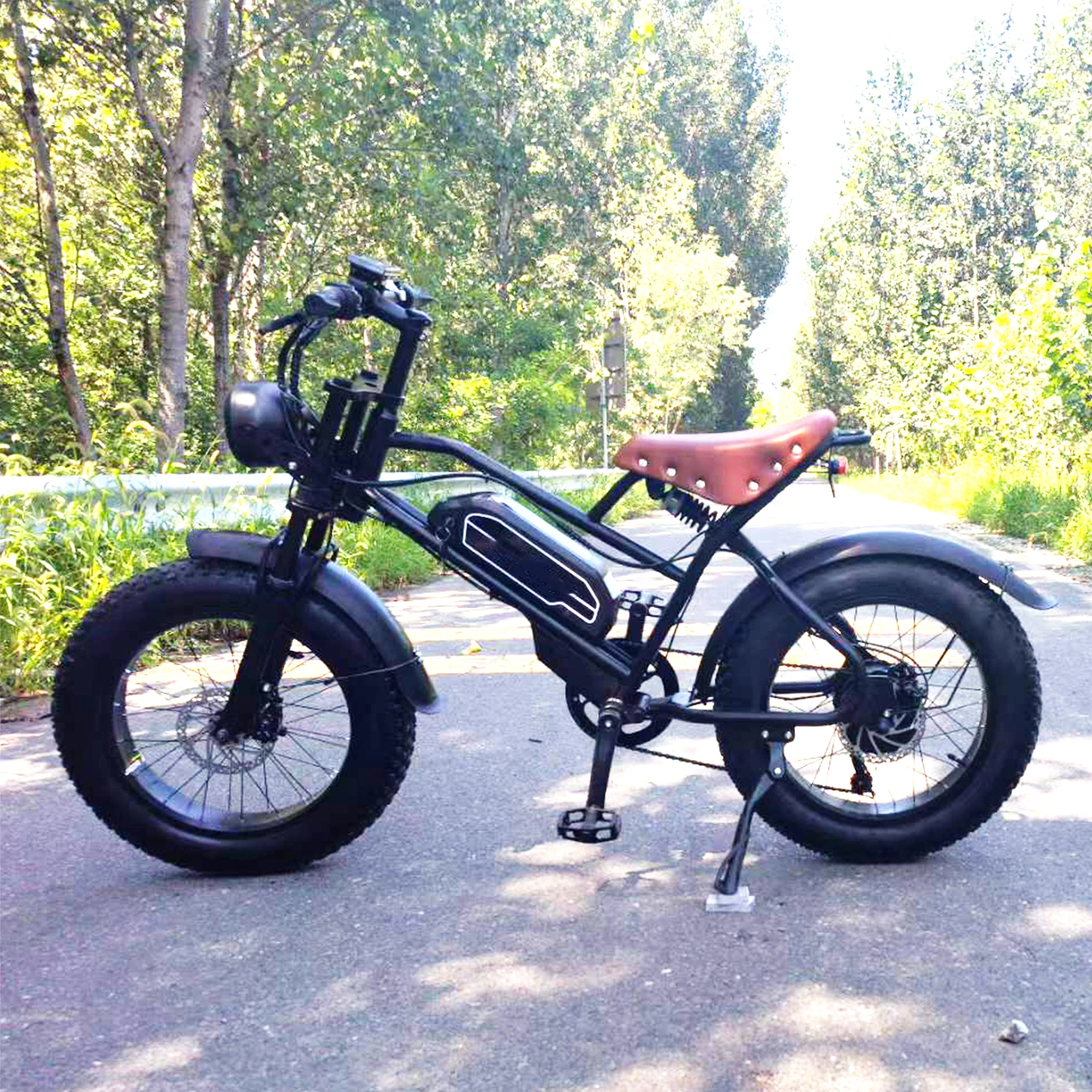 

New Design 1000W Electric Snow Bike 48V 15Ah 20 Inch Fat Electric Bicycle Off Road Electric Mountain Bike
