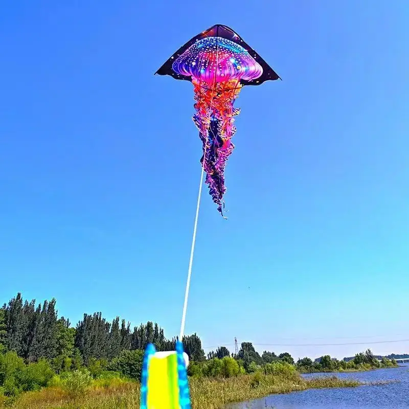 free shipping jellyfish kites for adults professional kite outdoor games windsurfing colorful flying kites acquilone beach kite