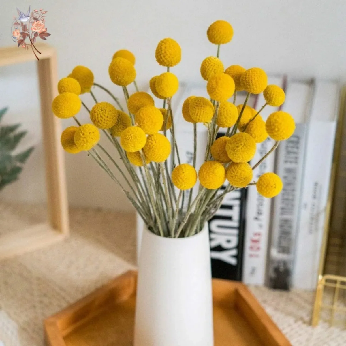 Natural Dried Yellow Golden Balls Craspedia Billy Ball Bouquet DIY Flowers Arrangement Wedding Party Decoration Home Table Decor