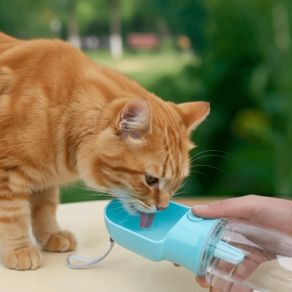 Leak Proof Portable Pet Water Bottle Heat-resistant Drinking Bottle Pet Travel Cup Large Capacity Pet Feeder Travel Water Bottle