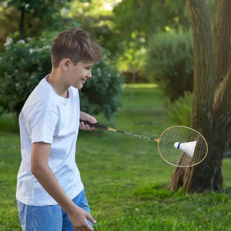 Raquette de badminton professionnelle pour adultes, équipement de badminton léger, absorbant la sueur