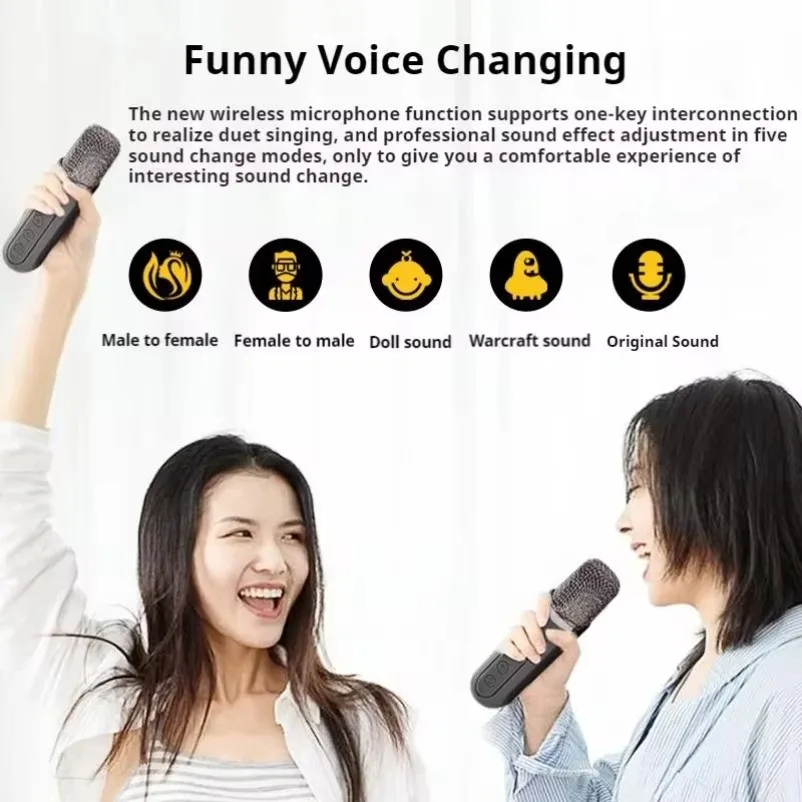 10W Powerful Wireless Portable Dual Microphone Bluetooth Sound Outdoor Family Party Karaoke Subwoofer Boom Box with 2 Microphone image 6